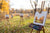 easels and canvases spread out in a grassy field with yellow leaved trees