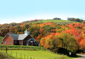 "Carolina In The Fall"