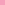 Begonia Pink RV14 Color Swatch