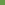 Bright Parrot Green