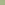 Light Green Color Swatch