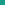 Viridian Green Color Swatch