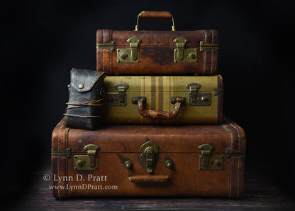 Lynn Pratt In-Person Art Workshop: Weathered Suitcases, September 29-October 3, 2025