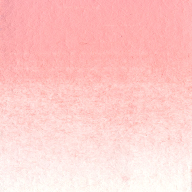  Shell Pink