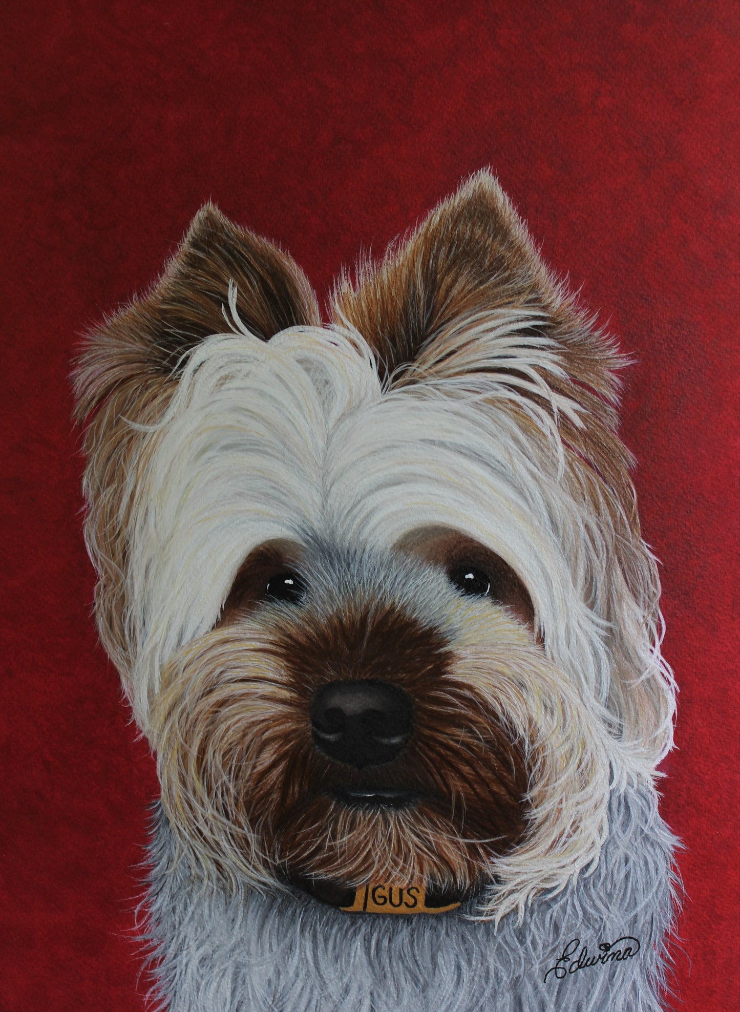 Edwina May In-Person Art Workshop: Pet Pawtraits in Watercolor, August 4-8, 2025