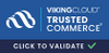 Payment Image Viking Cloud