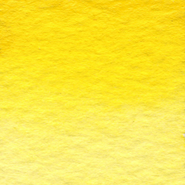  Cadmium Yellow Medium