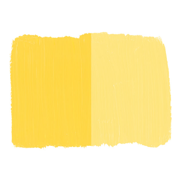 Artists' Oil Color - Naples Yellow