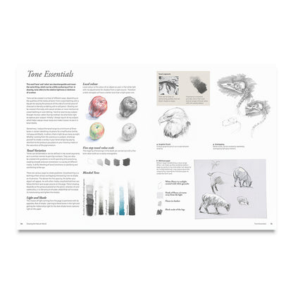 Watercolour the Natural World by Tim Pond