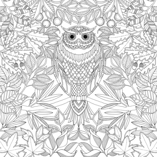 Secret Garden Coloring Book by Johanna Basford