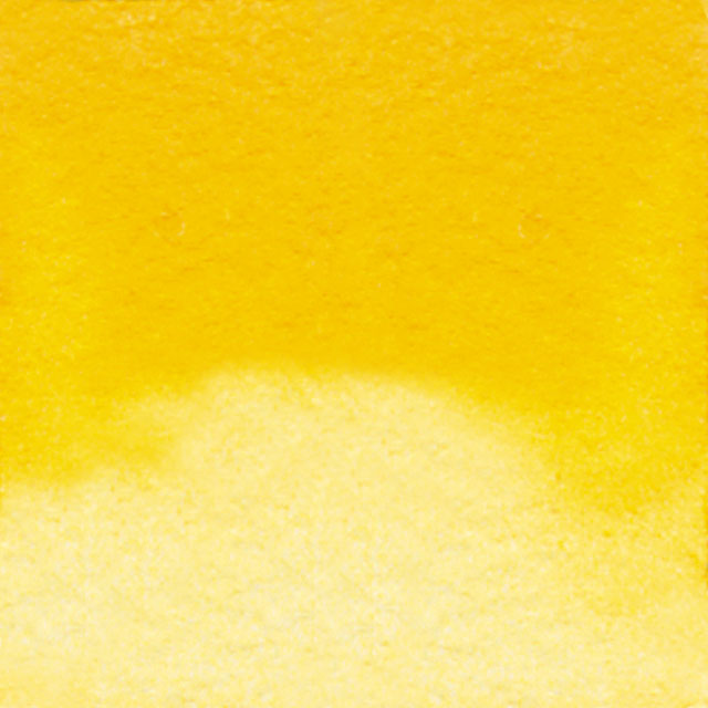 Cadmium Yellow Medium Hue