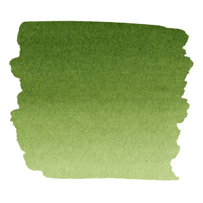 FW Liquid Acrylic Artists' Ink - Sap Green