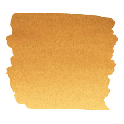 FW Liquid Acrylic Artists' Ink - Raw Sienna