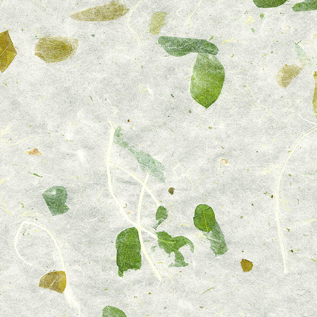 Thai Garden Series Paper, Raintree Leaves Green/Gold on Natural