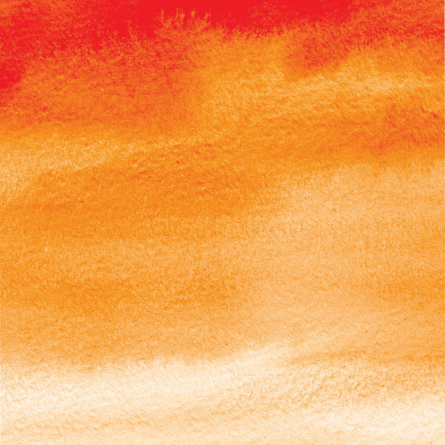  Cadmium Orange Hue