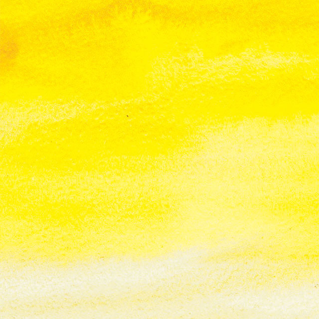  Cadmium Yellow Pale Hue