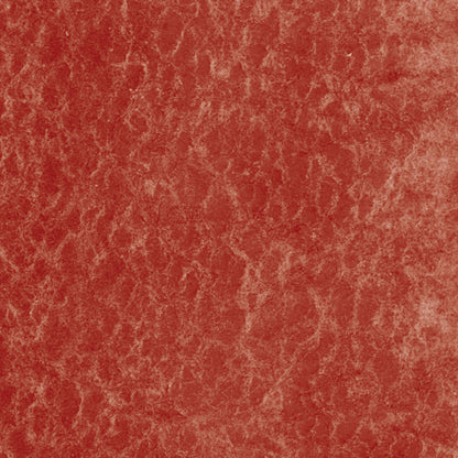  Cadmium Red Deep