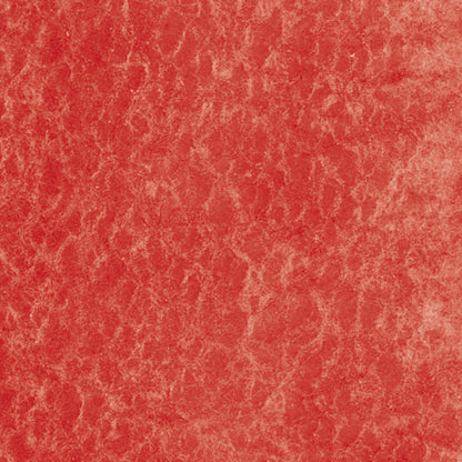  Cadmium Red Medium