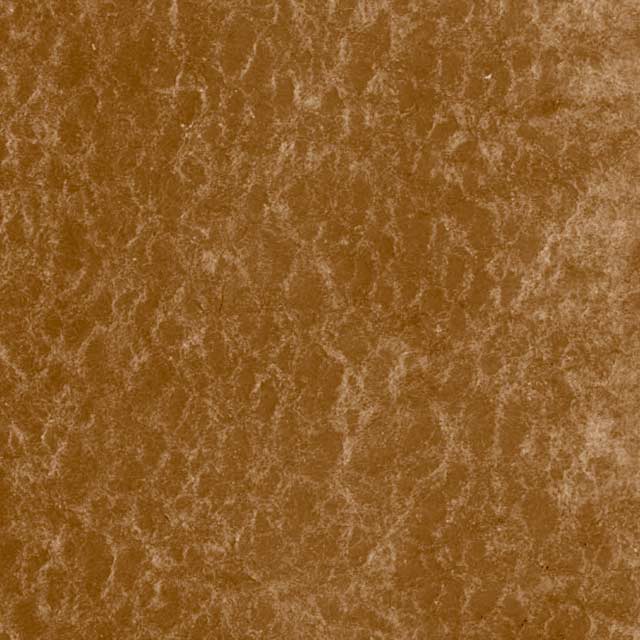  Raw Umber