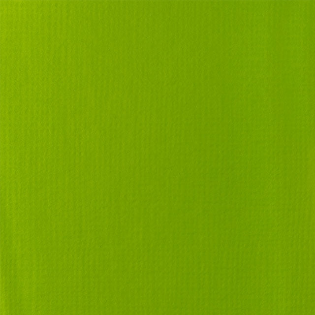 Lime Green Color Swatch