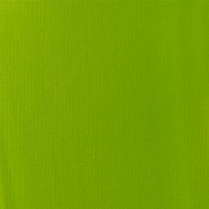 Lime Green Color Swatch