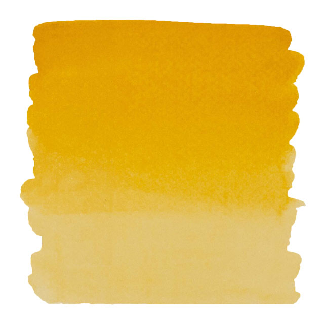 Indian Yellow Color Swatch