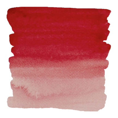 Primary Red-Magenta Color Swatch