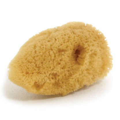 Royal & Langnickel Natural Ocean Sponge