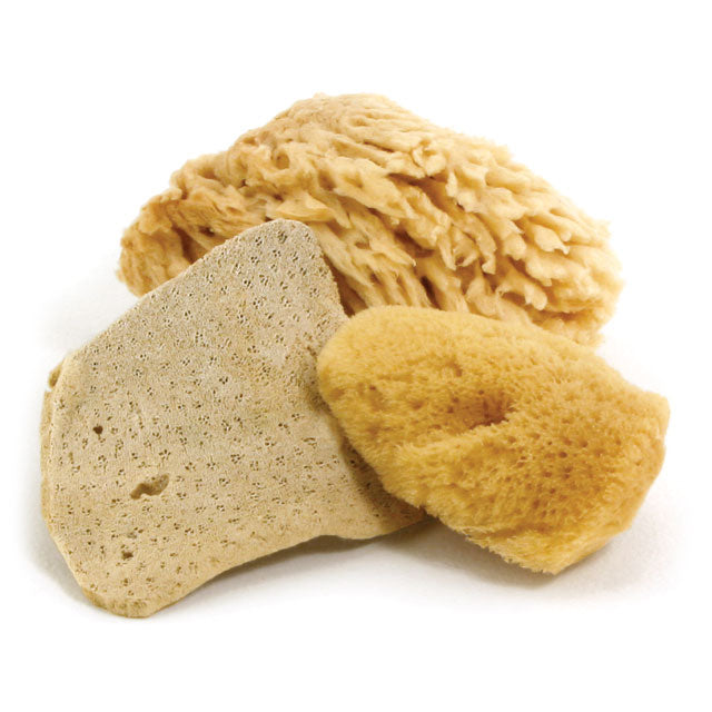 Royal & Langnickel Natural Ocean Sponge