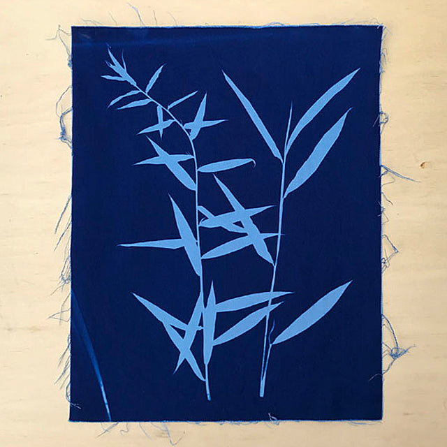 Jacquard Cyanotype Pretreated Fabrics and Sensitizer Sets