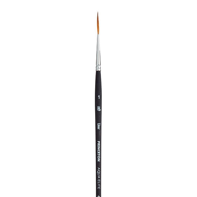 Series 4850 Aqua Elite Brush