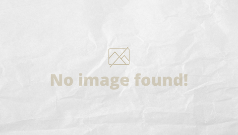 no image found