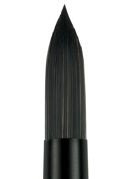 Princeton Series 6400 Catalyst Polytip Bristle