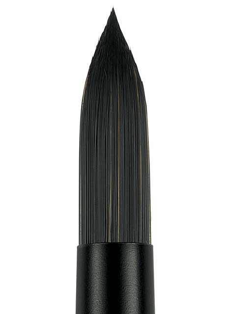 Princeton Series 6400 Catalyst Polytip Bristle