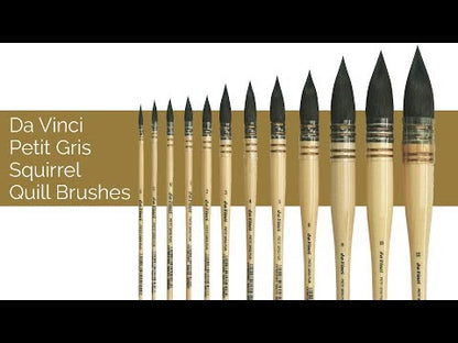 Da Vinci Petit Gris Squirrel Quill Brushes