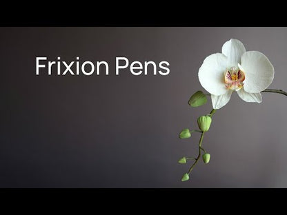 Pilot FriXion Ball Erasable Pens and Sets