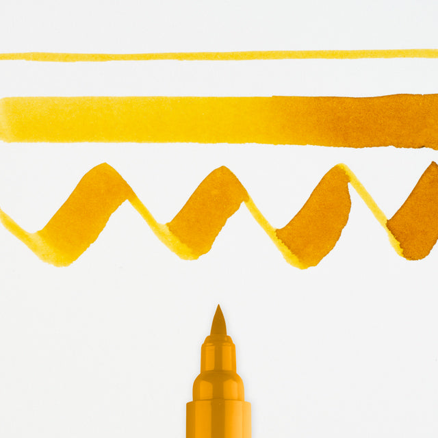 Yellow Ochre Color Swatch