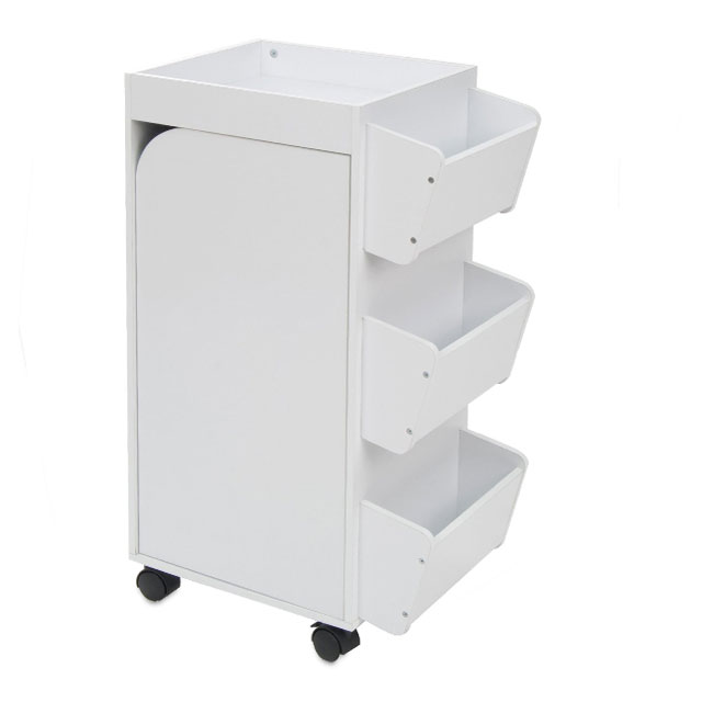 Swivel Organizer