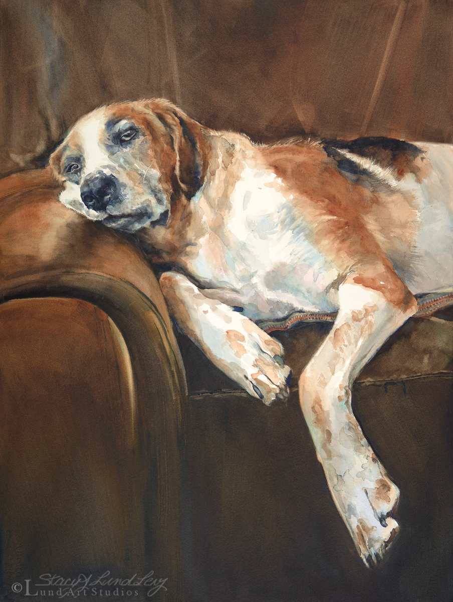 Watercolor of an old Beagle napping on a coach arm rest.