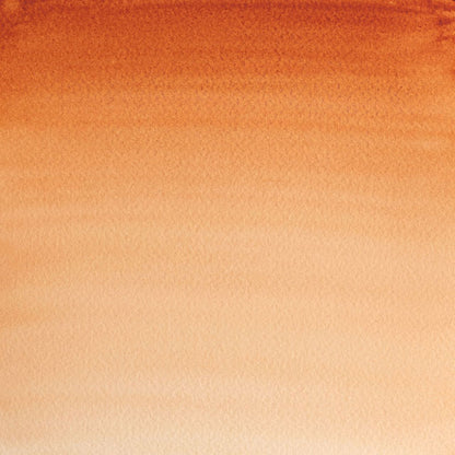  Burnt Sienna