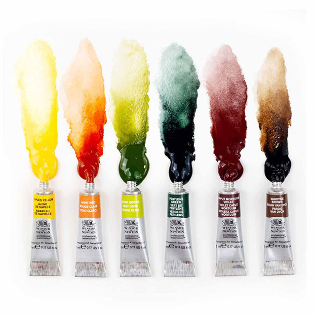 Winsor & Newton Professional Watercolor - Rich Earth Colours Set of 6