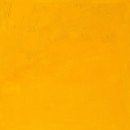 Cadmium Yellow Medium