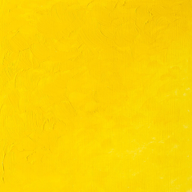  Cadmium Yellow Light Hue