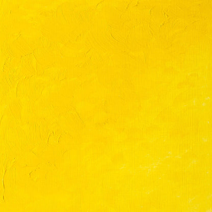  Cadmium Yellow Light Hue