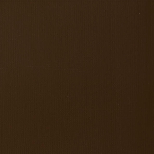 Raw Umber Color Swatch