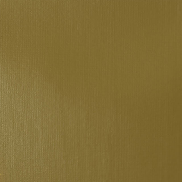 Bronze Yellow Color Swatch