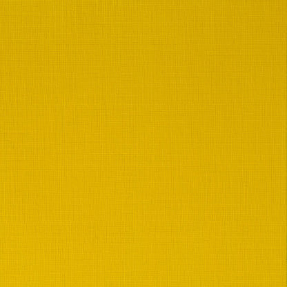  Azo Yellow Medium