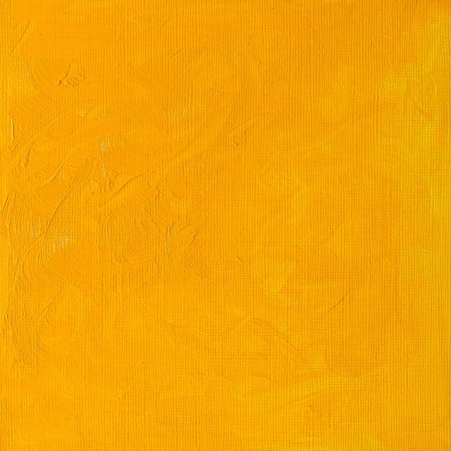  Cadmium Yellow Medium